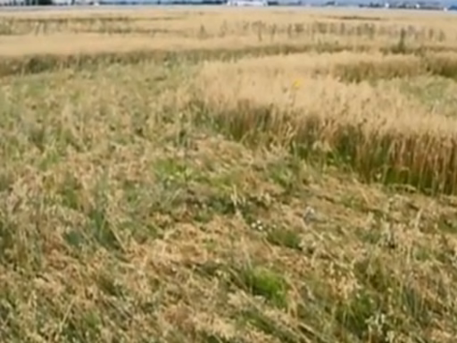 011Ee6Ef921E7Bf927D82B6C371D44B8