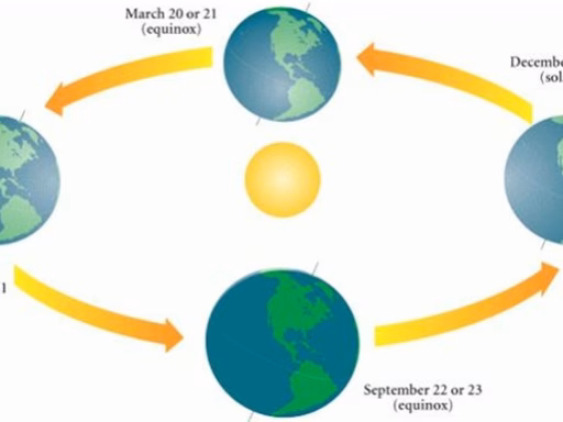 33Fa66F7008A88366891E3Ebea4A3655