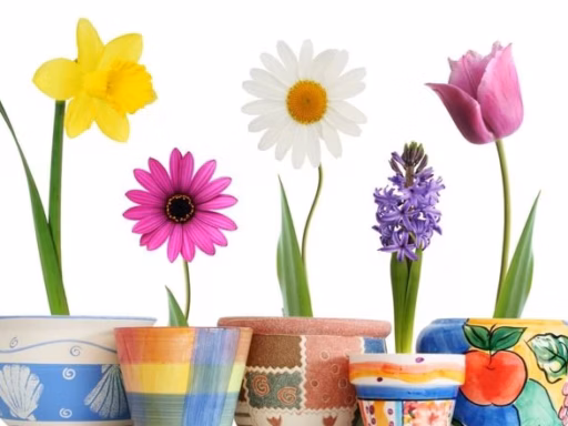 7E05Ae40B3596Aa8400E54772805E6D5