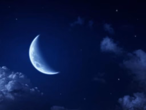 0D982D5Ce59Dddd2154Cbfed4C4953Bc