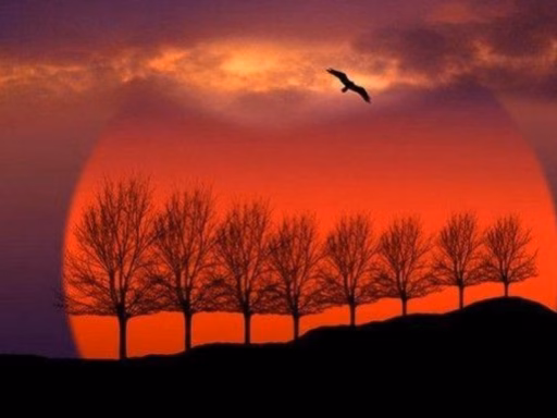 1A45Efbd58E81F6E25D7C2553Cb26Dc4