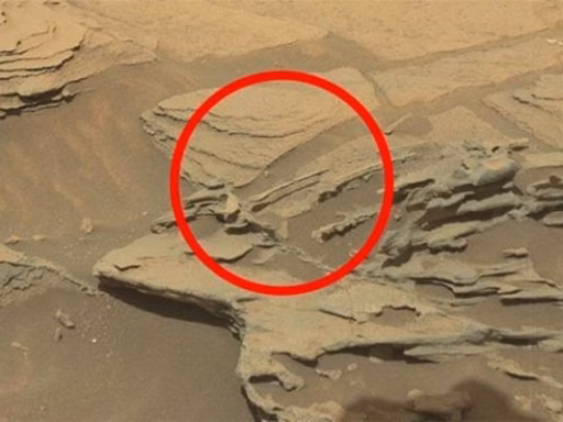 6E76F7562B1C55D7Bec74B58624B1Bc4