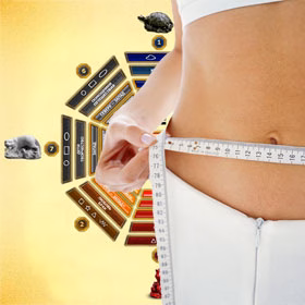 0294B83199D17A29F2Bd6C01Fce481C3