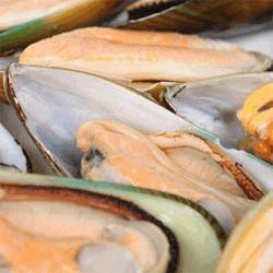 F959A39B1215Bb82F3069D7F93C6Fbd7