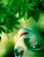 C2Ffa9Cd6D73423Ea01Fa366486E0671