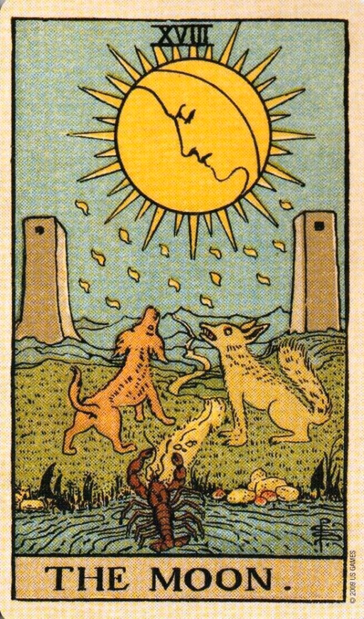 Pindown.io @Tarotgrowth 1760463286