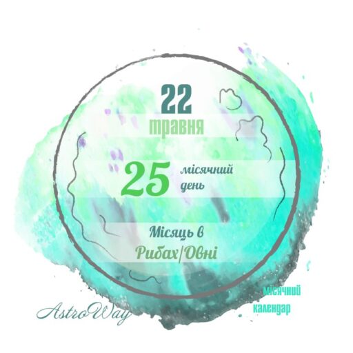 Tg 4576