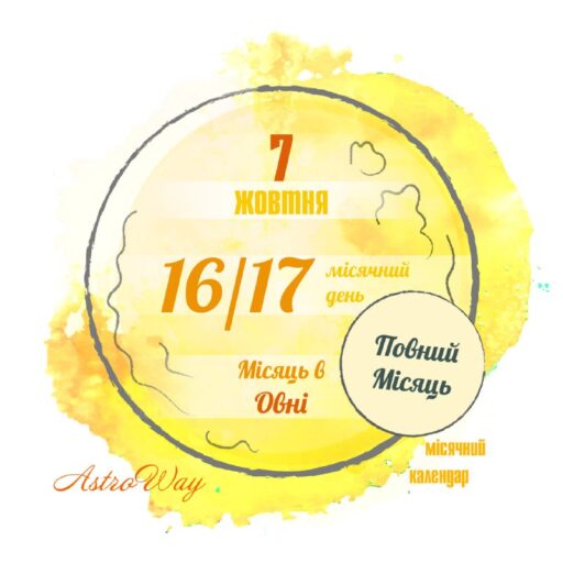 Tg 4878