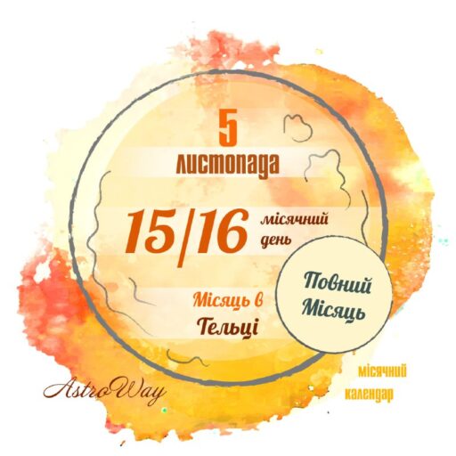 Tg 4941