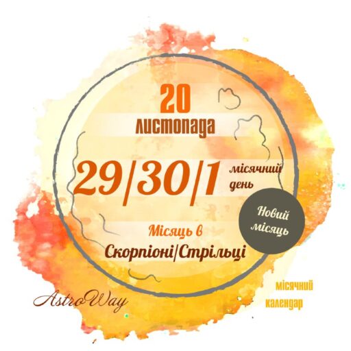 Tg 4973